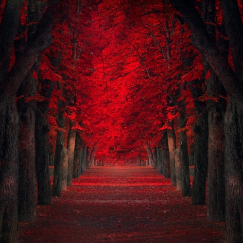 Fall [Deep Rapbeat_prodbyxseul]