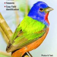 download EPUB 💝 Birds of North Texas: A Guide to Common & Notable Species (Quick Ref