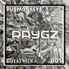 PUBMONKEYS Guest Mix 001: Raygz