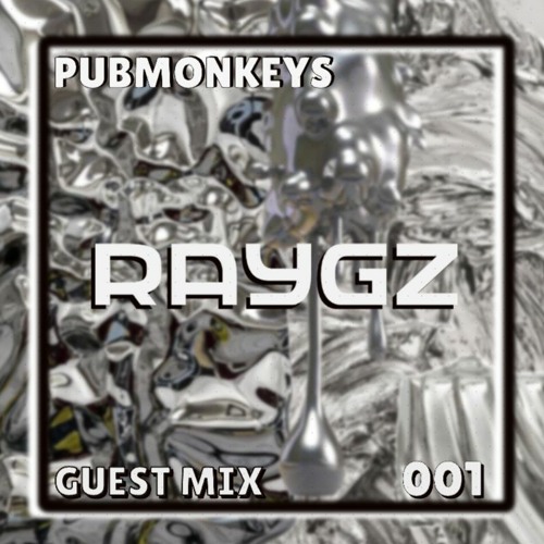 PUBMONKEYS Guest Mix 001: Raygz