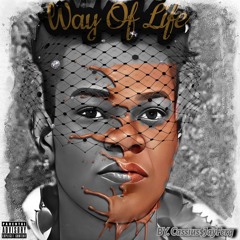 Way Of Life