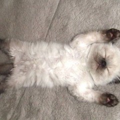 hjerte +yukiii (prod. omninox)