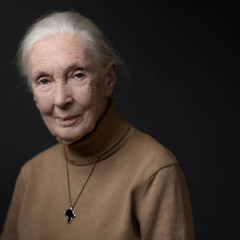Jane's Legacy