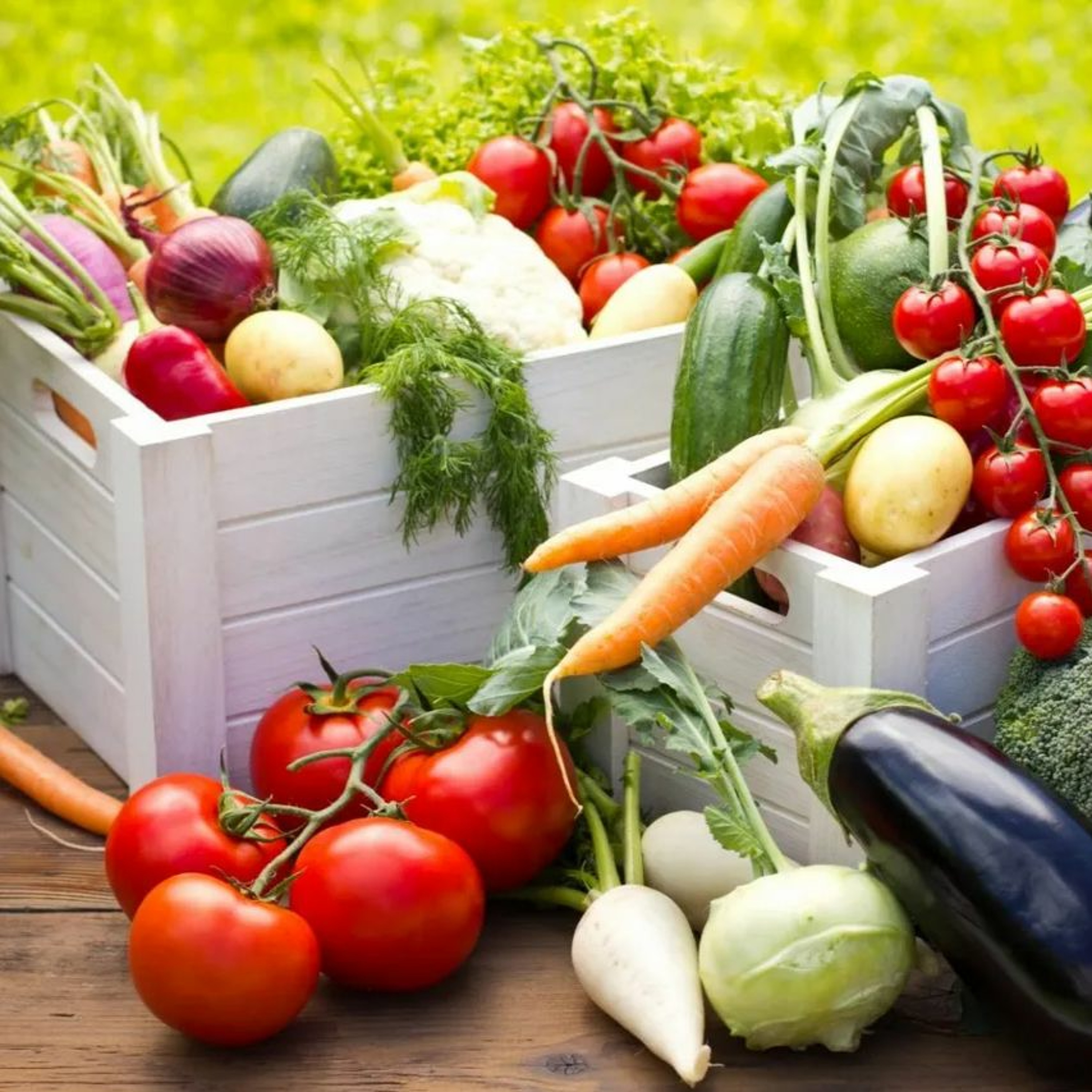 Jesus: the Master Gardener of Your Heart thumbnail