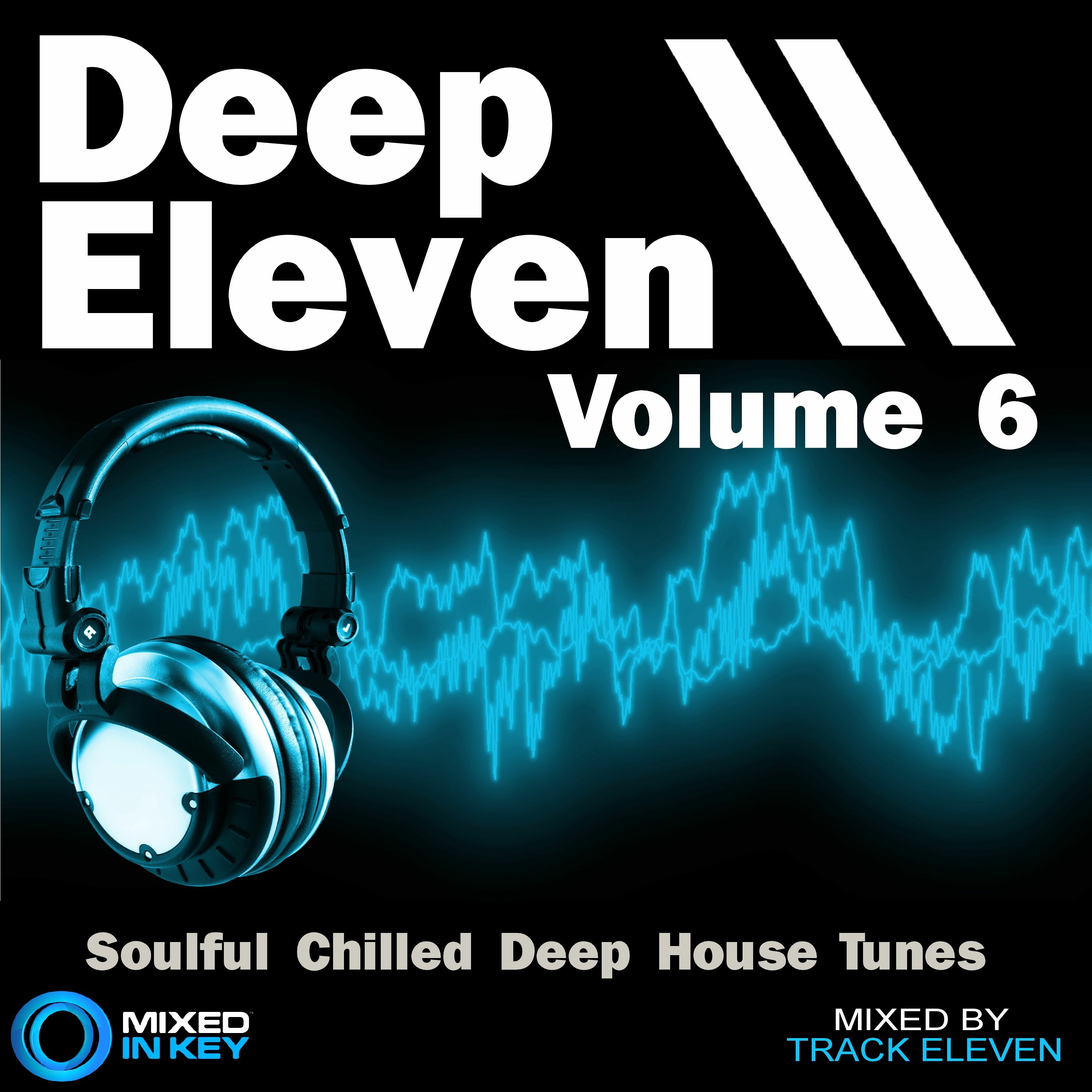Mixed By Track Eleven (DJ Mixes)