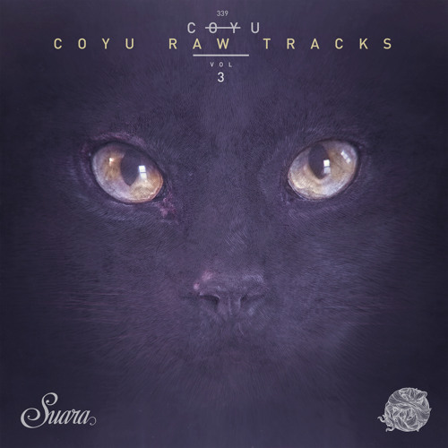 Running In Circles (Coyu Raw Mix)
