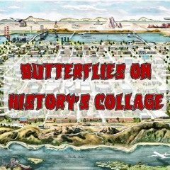 236. Butterflies on History’s Collage (ft. Malcolm Harris)