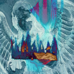 rosegold ‧₊˚ ⋅♡