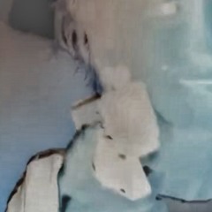 deficit prod boolymon