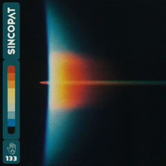 AFFKT - No Signal (Pavel Petrov Mindiemal remix) [SINCOPAT]