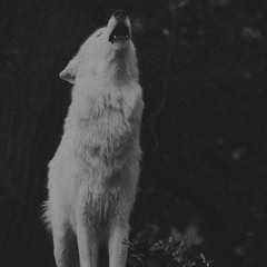 CUTZ - SACRIFICES FT DIZZY508 (prod by FCKBWOY!)