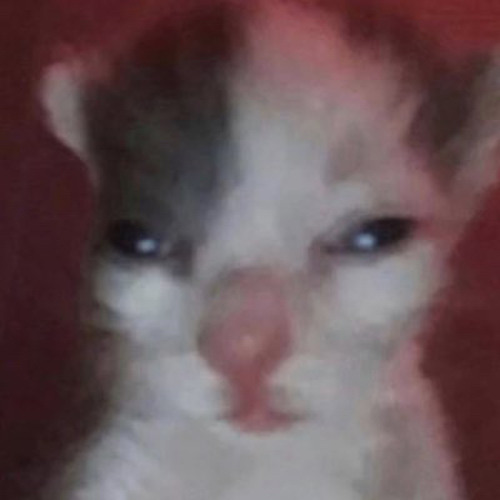 i dont need you (tiktok sound)