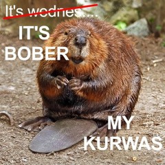bober kurwa (uptemo remix)
