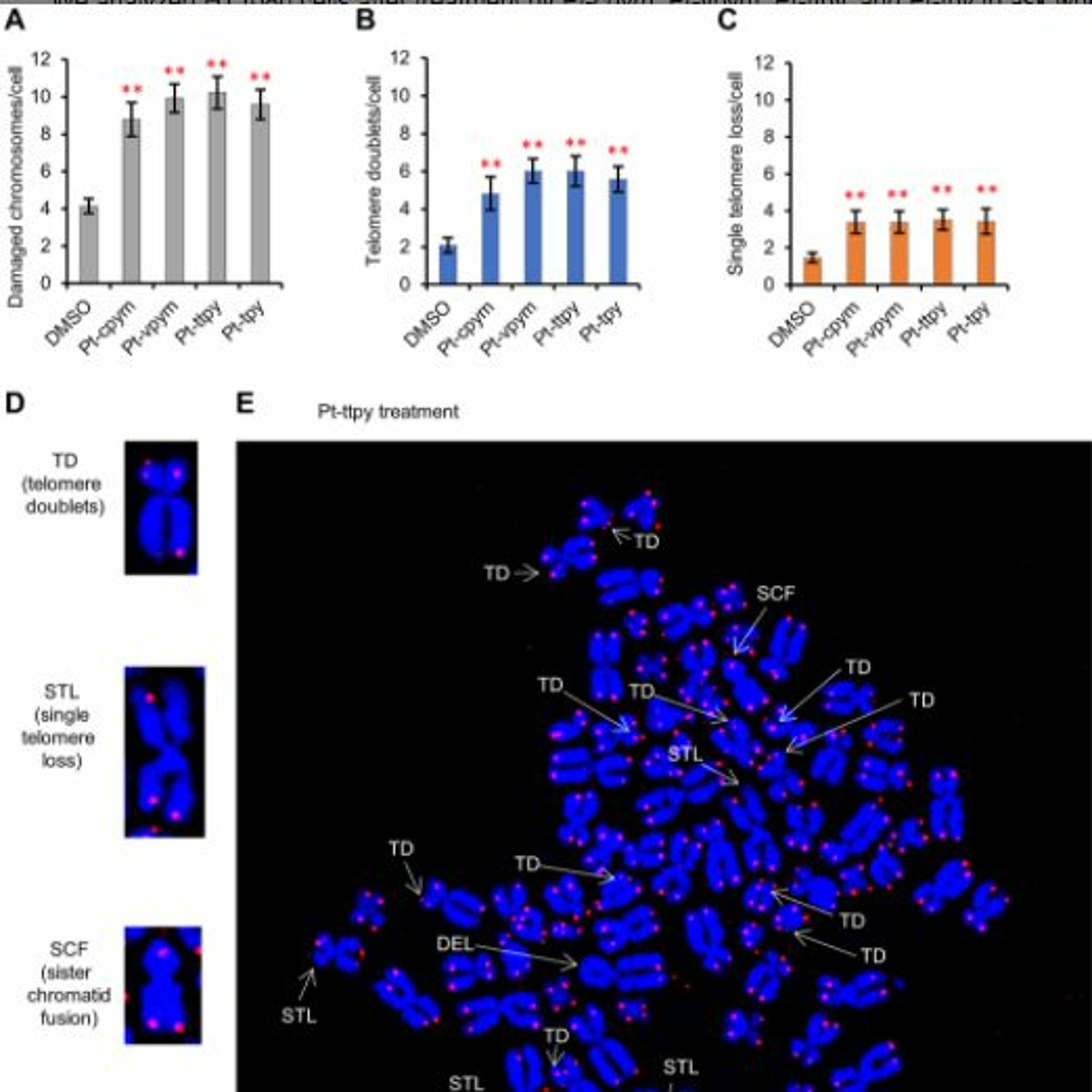 Oncotarget