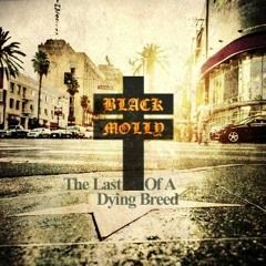 Last Of A Dying Breed - Black Molly