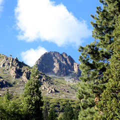 The Hard Side of the Mountain