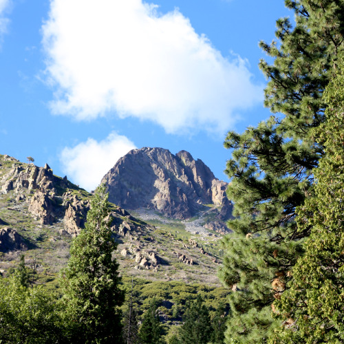 The Hard Side of the Mountain