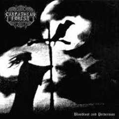 Bloodlust And Pervertion
