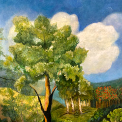 Amongst the Faded Woods