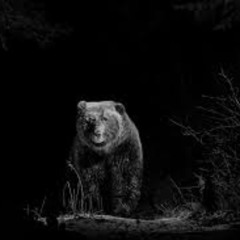 Nocturnal - 141BPM Prod Ynishen Finished