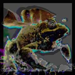 Creatures from the Vortex Machine [Free Download]