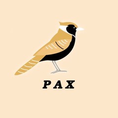 Pax (Peace Of Mind Rdx)