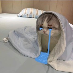 CRY:N0M0RE