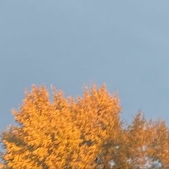 Jupiter- FACELESS [SNOWFALLINJUNE REMIX]