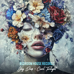Jay Deep - Civil Twilight {Bedroom House Records}