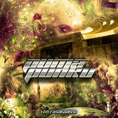 Puma Punku (Original Mix)