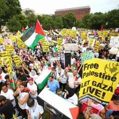 In the News: Stand with Palestine as Palestine Stands Together