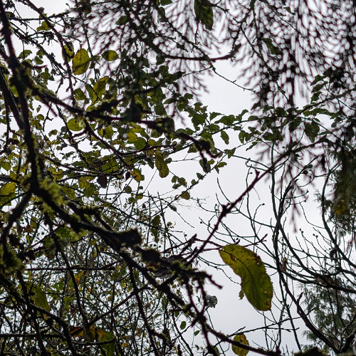 Quadcopter (First Summation)