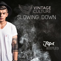 Vintage Culture - Slowing Down (JAPA Bootleg)