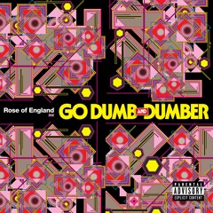 Go Dumb & Dumber