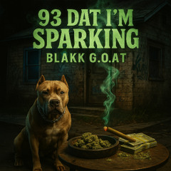 93DATIMSPARKING