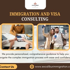 Navigating Success: Your Guide to Business Visa Consultants in Canada