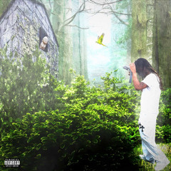 Lowlight [prod. maxwell2icee]