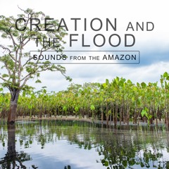 Fish Tree - Sounds From The Amazon