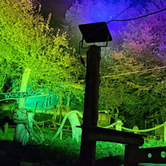 Triforce vs Tilda mix (Psytech)