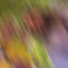 SETINSTONE ~  LIL DITTO (shagggy. flip)