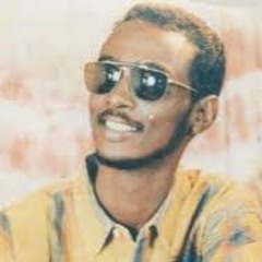 محمود عبد العزيز - تباريح الهوى