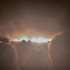 Paper Trunks - Trunk Song x Paper Planes