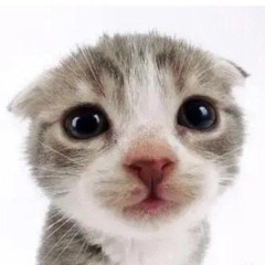 scenecore revival - My World (cred. roxxy)