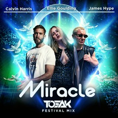Calvin Harris & Ellie Goulding x James Hype - Miracle (TOSAK Festival Mix)
