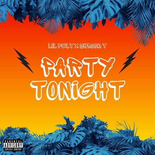 Party Tonight! (feat. ShRooM T) prod. sk8miles