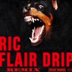 RIC FLAIR DRIP REMIX - Tyga Feat Eminem