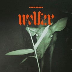 wolfer - Your Glory