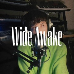 wide awake - cover by akela