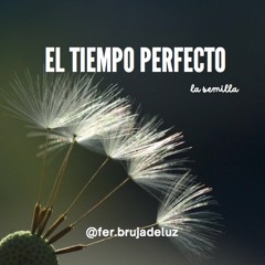 El tiempo perfecto, la semilla