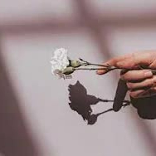 Stream taşikardi (tuğba karademir) by Tuğba Karademir Listen online